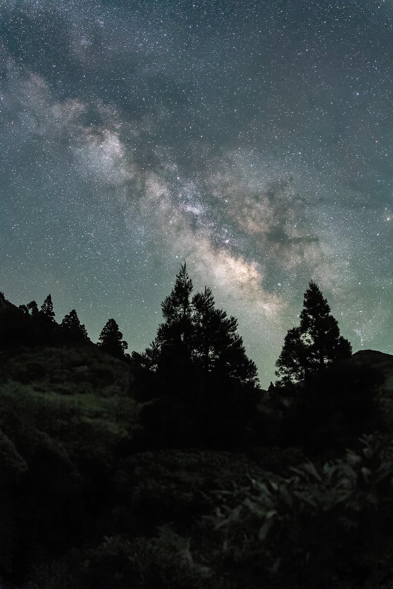 Stargazing at Dragon's Roost